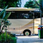 yellow bus